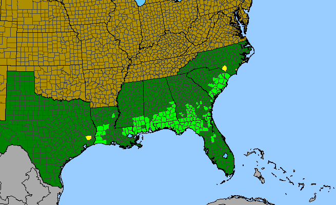 The range of Hibiscus aculeatus